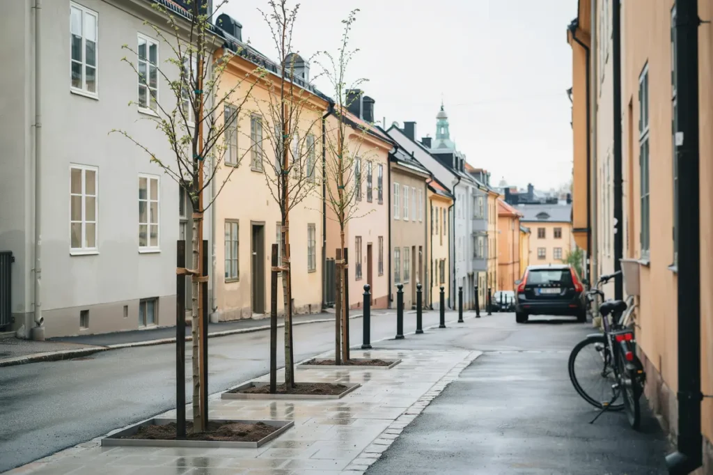 anl ggning av skelettjord och tr dgropar i s dermalm rikst ckande